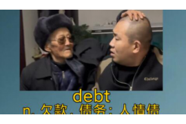 鸡冠工资清欠服务